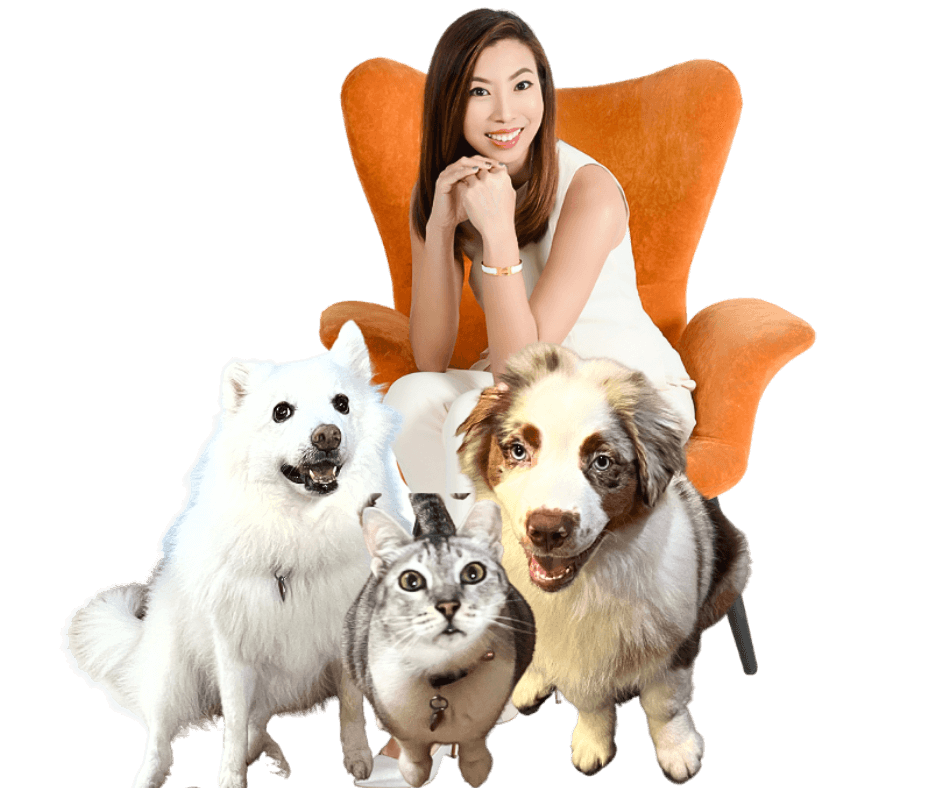me and the pets in modern mom life sg